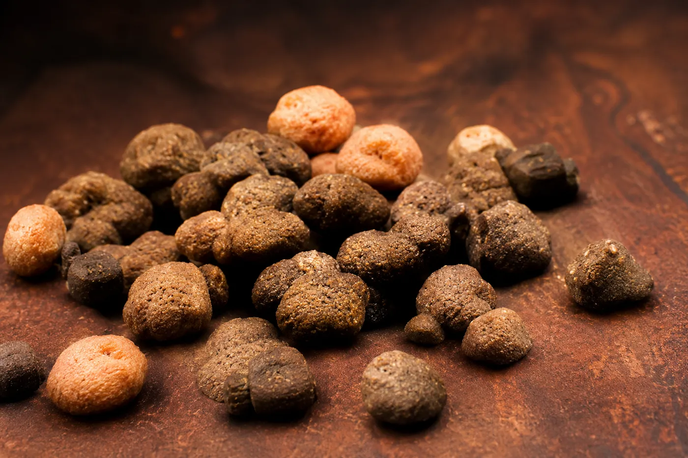 Pet food — extruded product at the outlet of the line