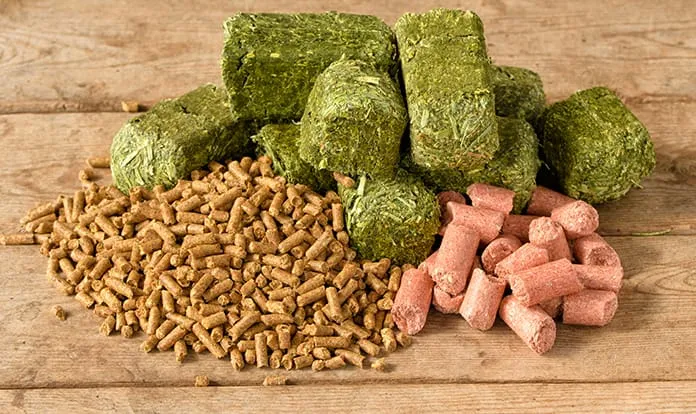 Pelleted animal feed and alfalfa briquettes